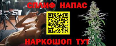 гашик Гай