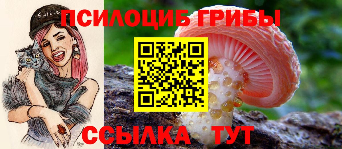 Псилоцибиновые грибы мицелий  где можно купить наркотик  Миллерово  Вход с VPN  Галлюциногенные грибы прущие грибы 